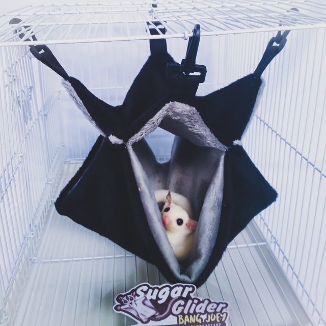 Pouch Hammock Tempat tidur sugar glider , landak mini hamster