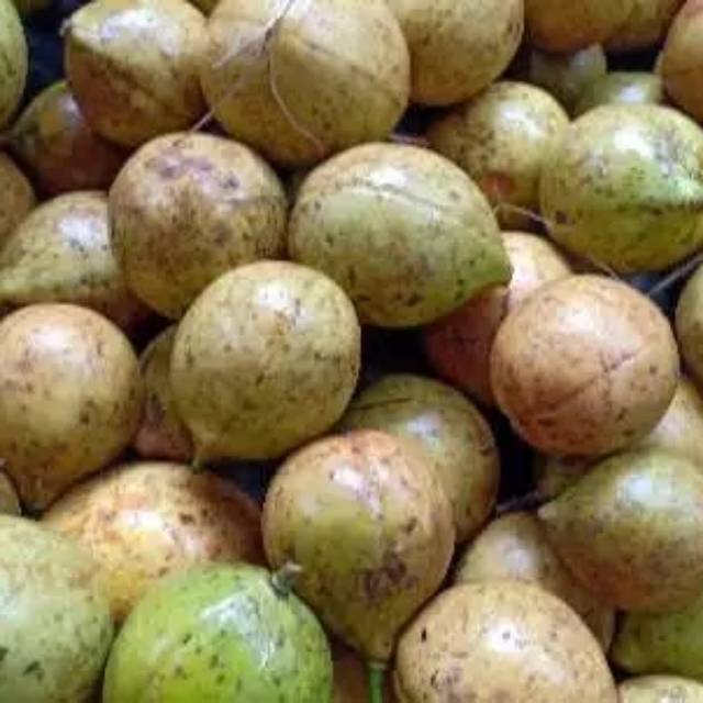

buah pala segar 500 grma buat manisan