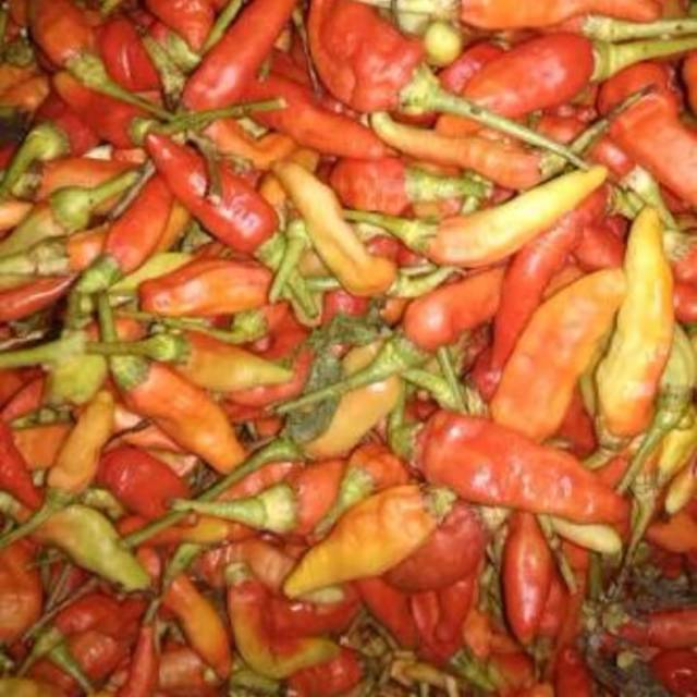 

Cegek merah 1/4