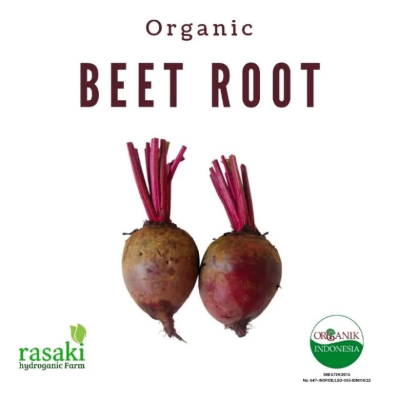 

Buah beetroot / buah bit segar Rasaki 500gr