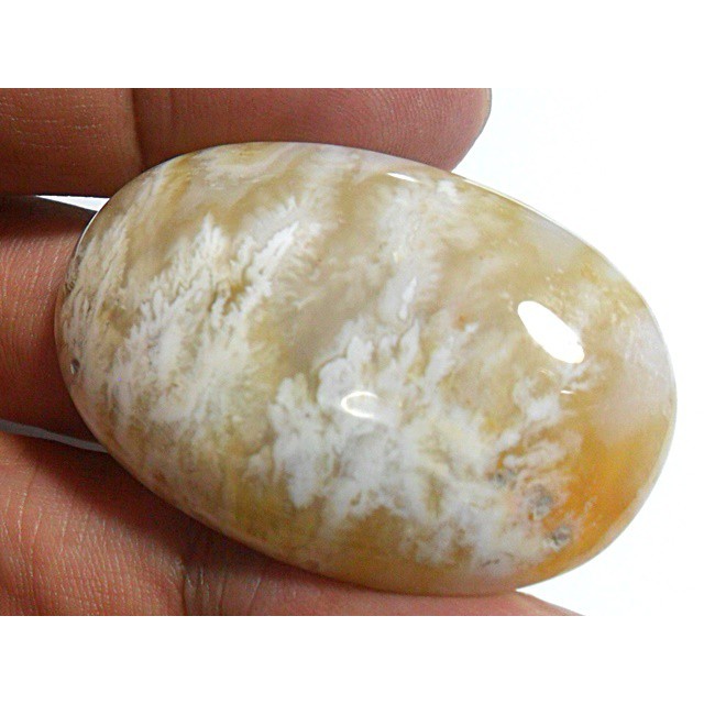 AG299 Oval Cabochon 43X28mm 83.6ct Natural Picture Agate White Orange Exotic Flower Cluster