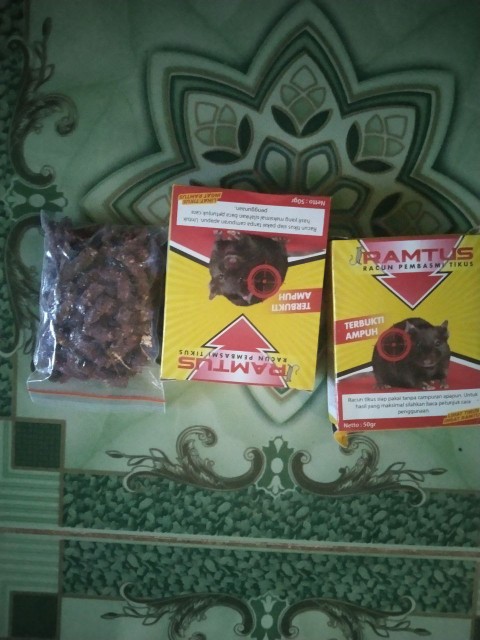 Ramtus Obat Racun Tikus Langsung Mati Kering Tidak Bau Sangat Ampuh Racun Pembasmi Tikus 12 Pack