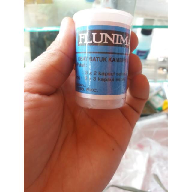 OBAT BATUK KAMBING & PEDHET