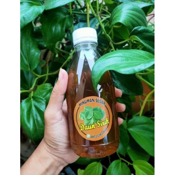 

Minuman Daun sirih/Jamu untuk daerah kewanitaan