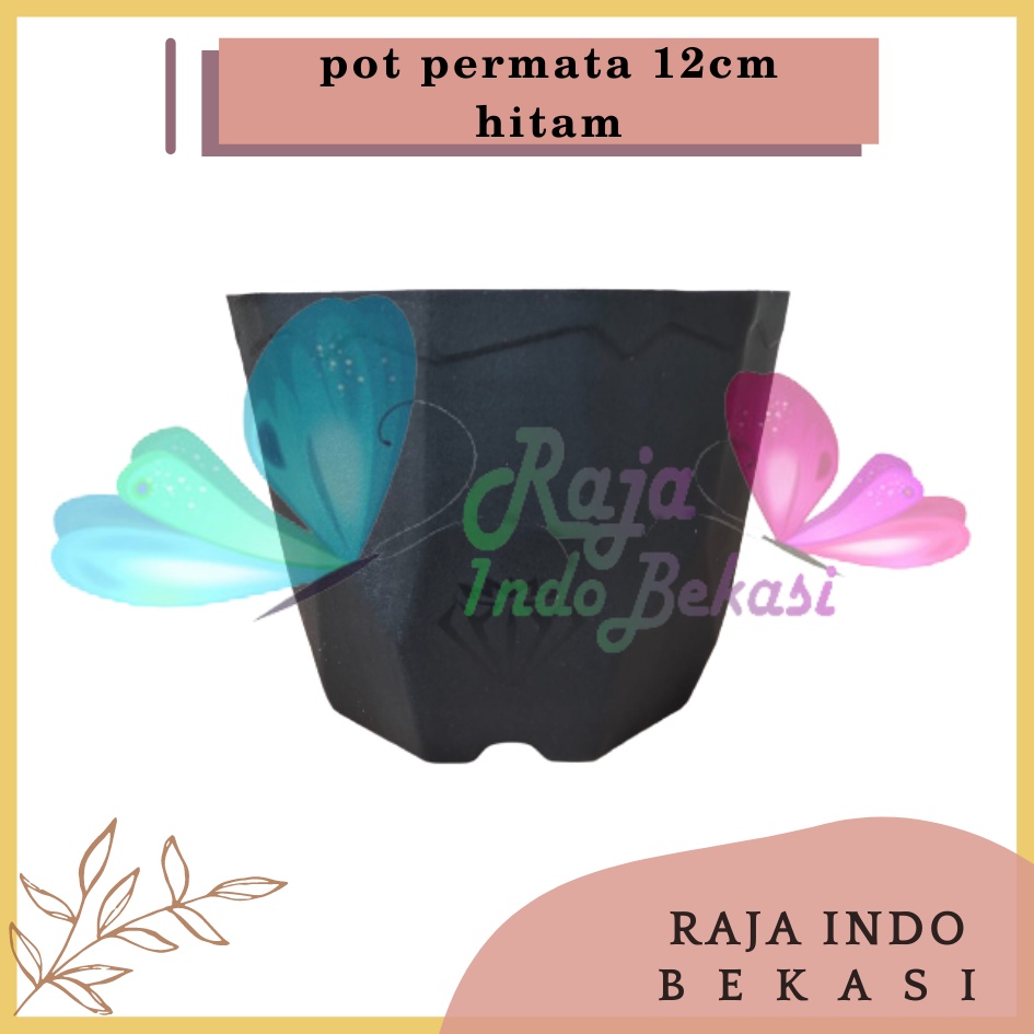 Rajaindobekasi Pot Permata 12 Hitam DA 10,5cm Garden Of Love Pot Plastik Kaktus Murah Uk Mirip Pot Tawon 10 12 cm