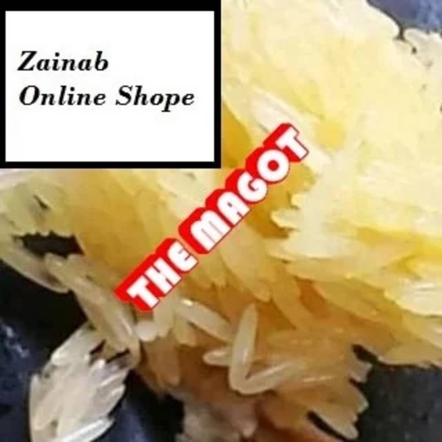 Telur Lalat Bsf Telor Lalat Bsf Telor Magot Bsf telur Lalat Magot Bsf