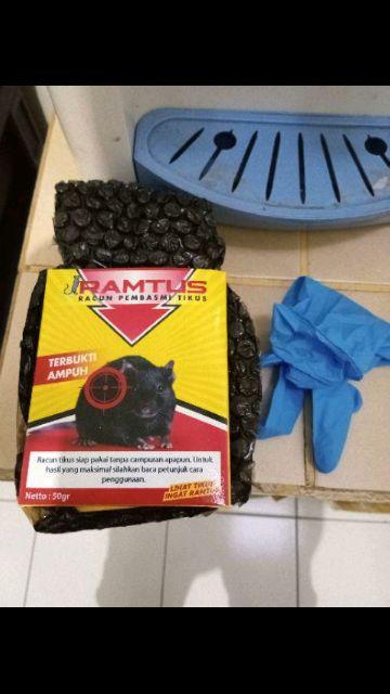 Racun Tikus Pembasmi Hama Mati Kering Paling Ampuh - Temanggung