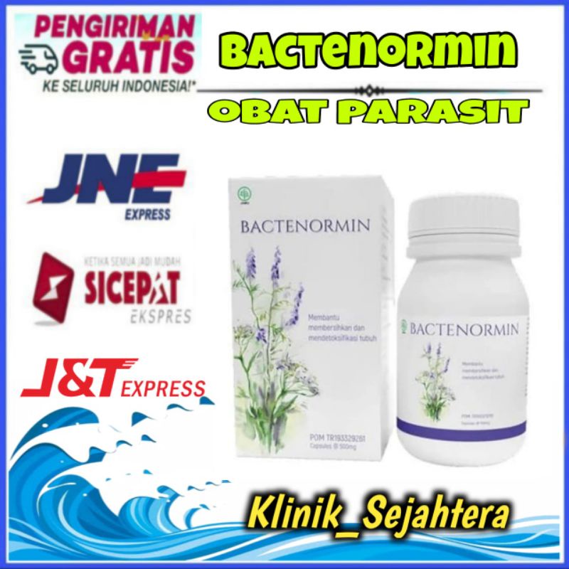 Bactenormin Asli 100% Original Obat Parasit Tubuh Asli Herbal
