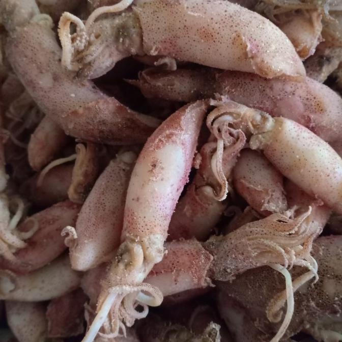 

[COD] ikan cumi asin kering/sotong kering per 500gr [COD]