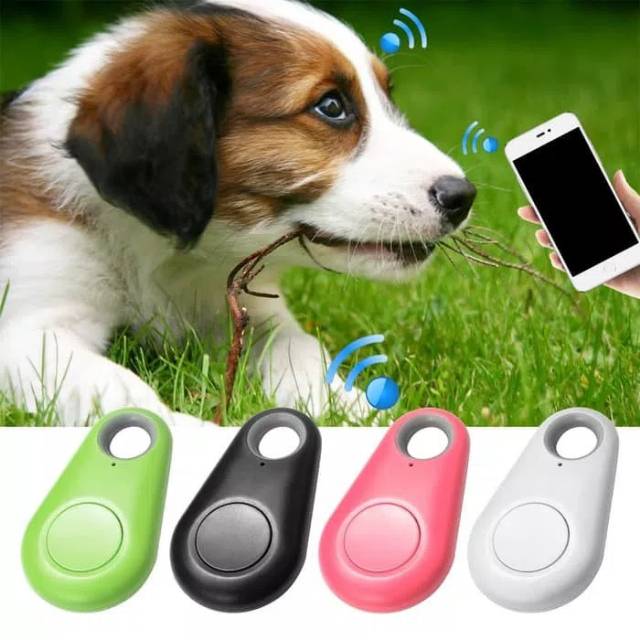 Pet Tracker Anti Loss &quot;GPS TREE&quot; Alat Pelacak Hewan