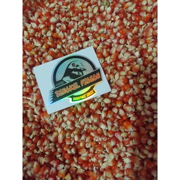 jagung kristal merah 1 kg eceran khusus burung dara merpati dara kolongan balap pos tomprang