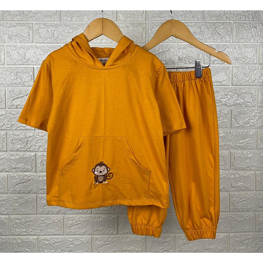 Setelan Anak Unisex Hoodie Lily Oversize Mix Warna Size 1-5Tahun SMILEE CBKS S23