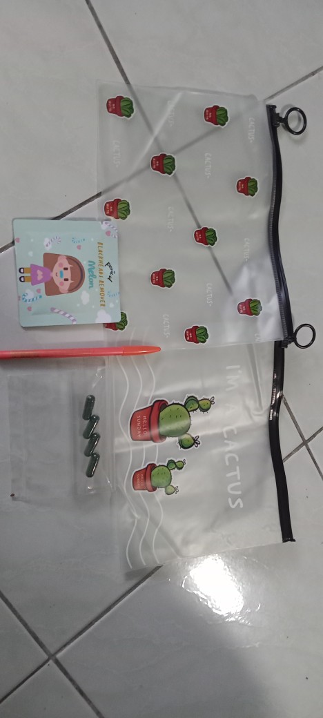 Zipper Bag Kaktus / Ziplock Motif Kaktus / Tempat Pensil / Pouch Serbaguna / Pouch Kosmetik