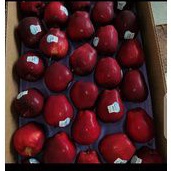 

BUAH APEL MERAH WASHINGTON HAPPYFRUITS 1KG