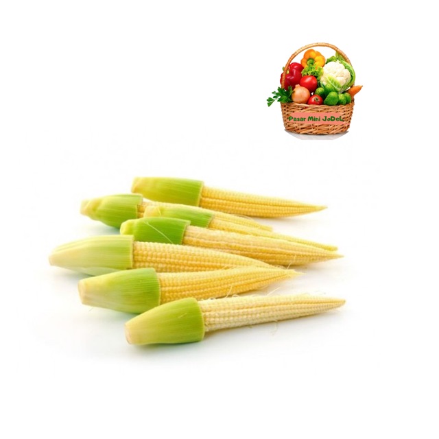 

PASAR ONLINE MURAH - JAGUNG MUDA / SOLENG 250gr