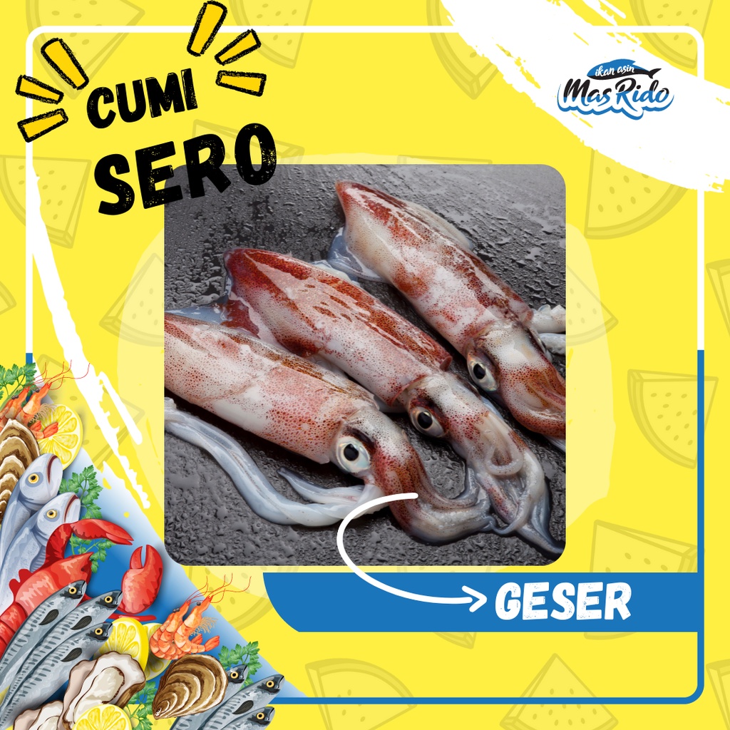 

Cumi Segar Cumi Sero Cumi Cumi Fresh Premium Besar Harga Termurah