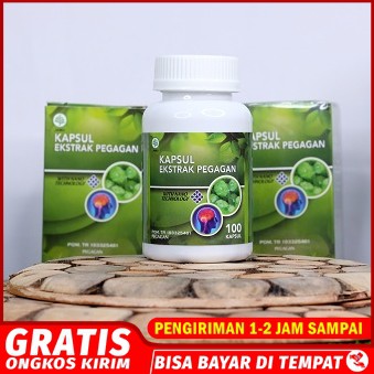 

OBAT HERBAL AYAN EPILEPSI KAPSUL EKSTRAK PEGAGAN BPOM