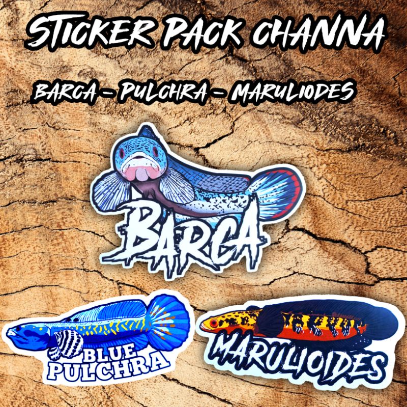 Stiker pack ikan channa 3pcs (barca, pulchra, maru) BISA COD