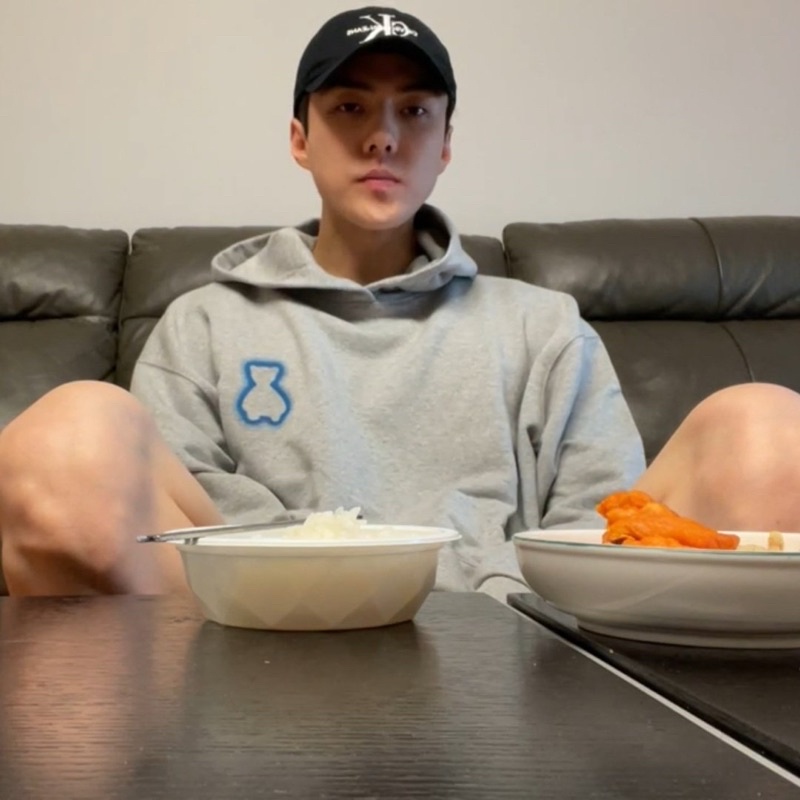 Aqo shining bear hoodie bear grey- hoodie sehun exo official