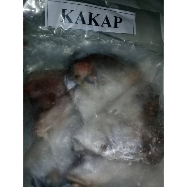 

Kepala ikan kakap