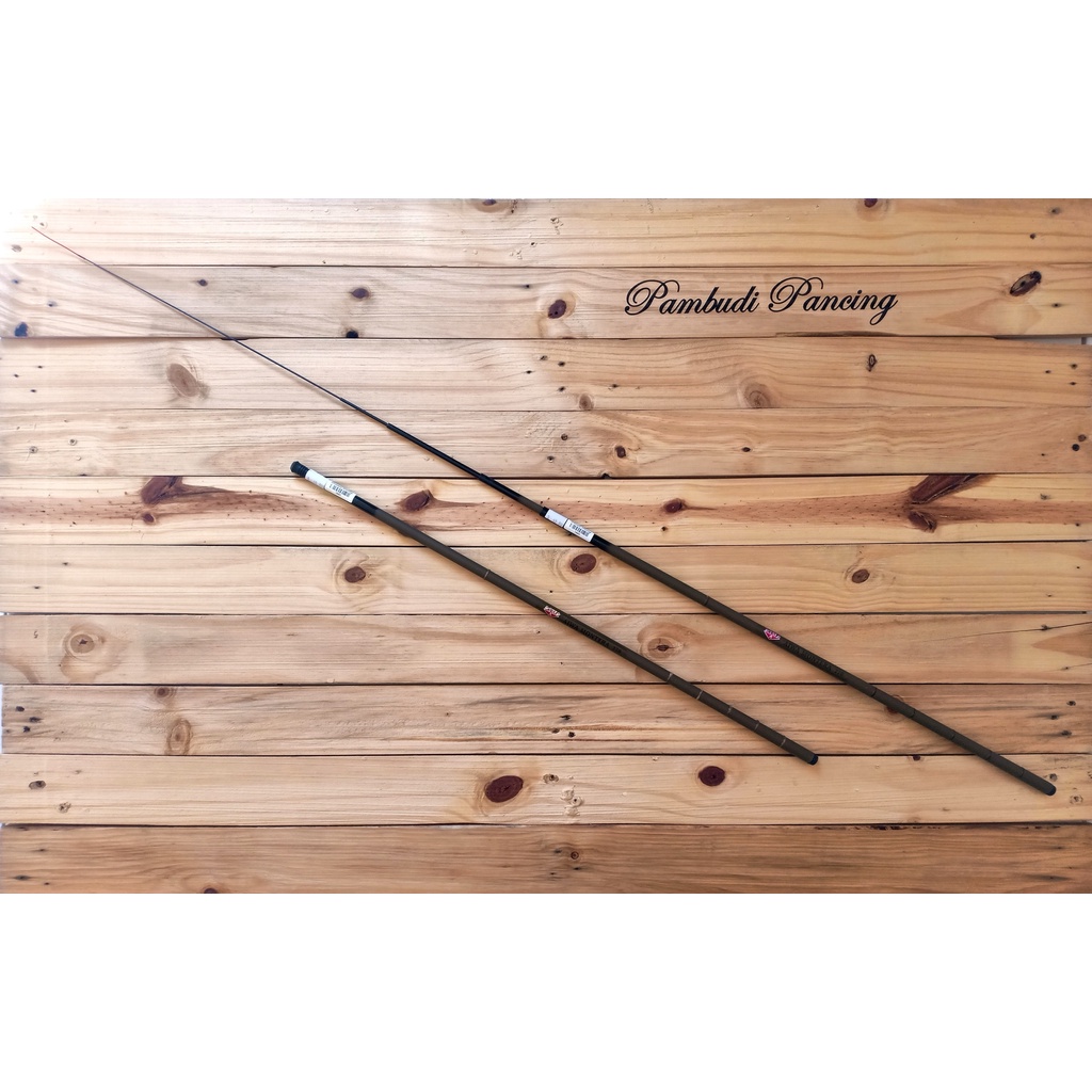 AIWA - JORAN TEGEK AIWA MONTERA