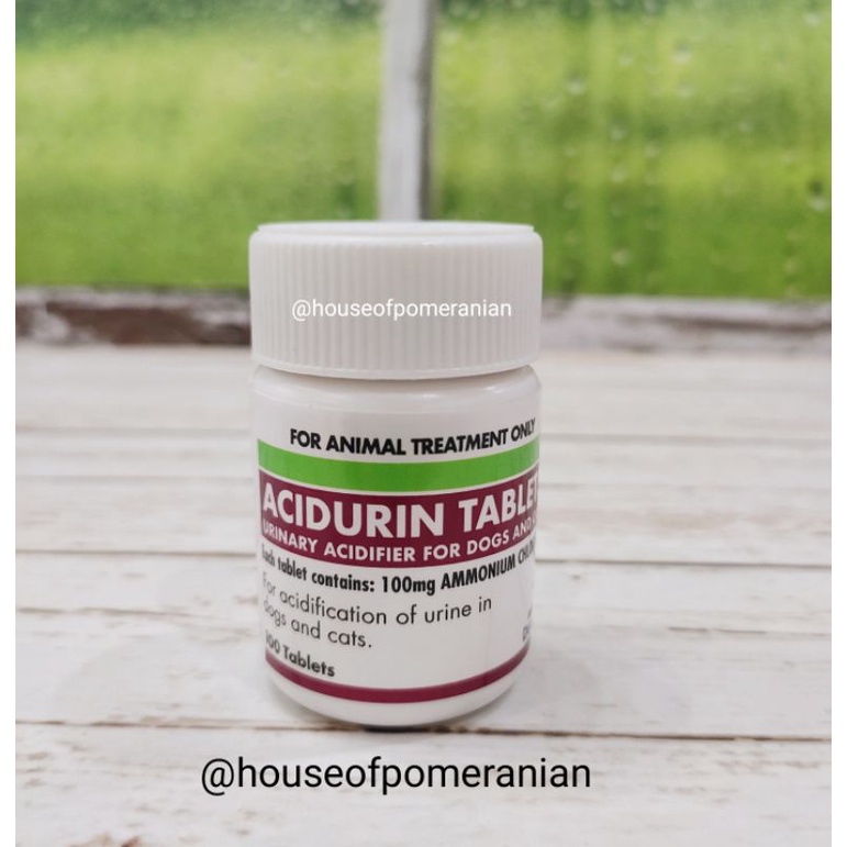 ACIDURIN tablet ECER obat urinary anjing kucing pengencer kencing dog cat