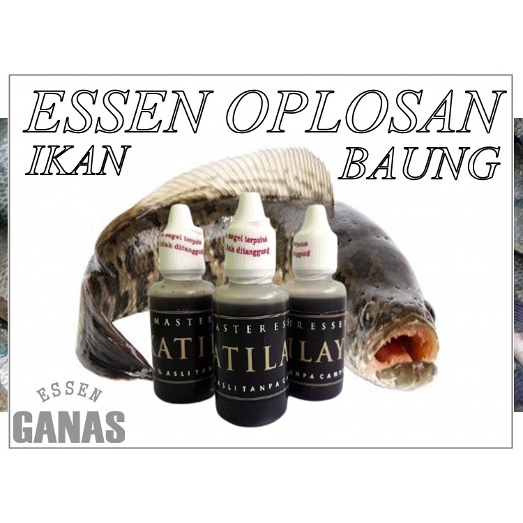 ESSEN IKAN MAS,NILA KATILAYU MURNI