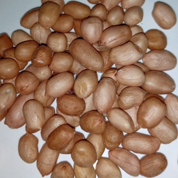 

Q12Sa Kacang Tanah 500 Gr D51qs448