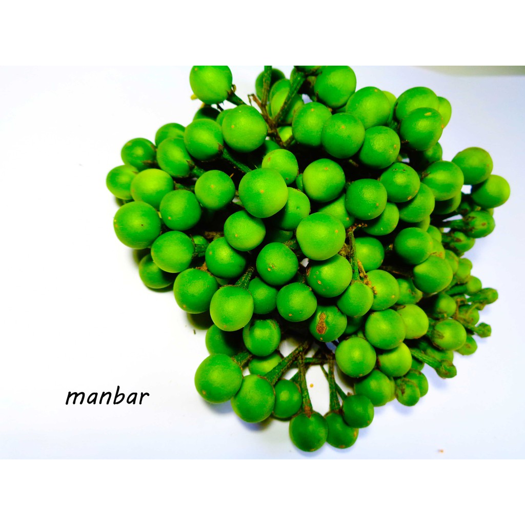 

buah takokak seger 500 grm