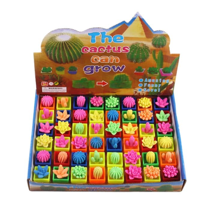 Growing in Water Cactus Toys (6pcs)