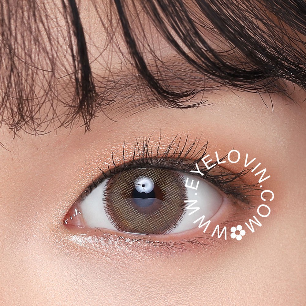 Softlens Dreamcolor I - Nobluk Brown