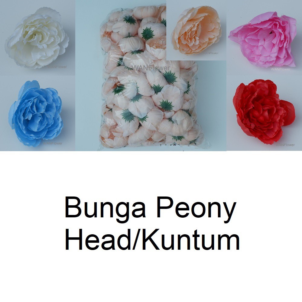 WANFLOWER Bunga Peony Beauty Kuntum * ALL (20pcs)