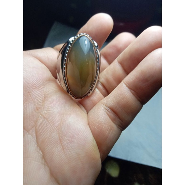 anggur lawas model pandan