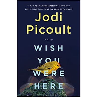 Wish You Were Here: A Novel (SC)