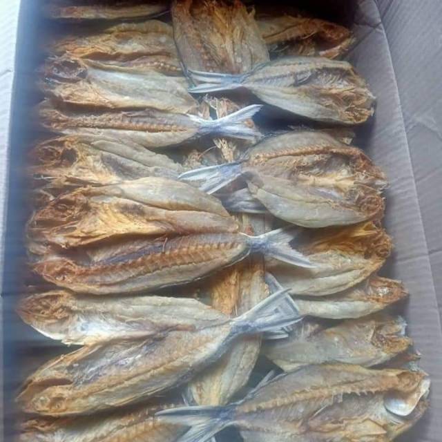 

Ikan Asin Lolosi 500 gr