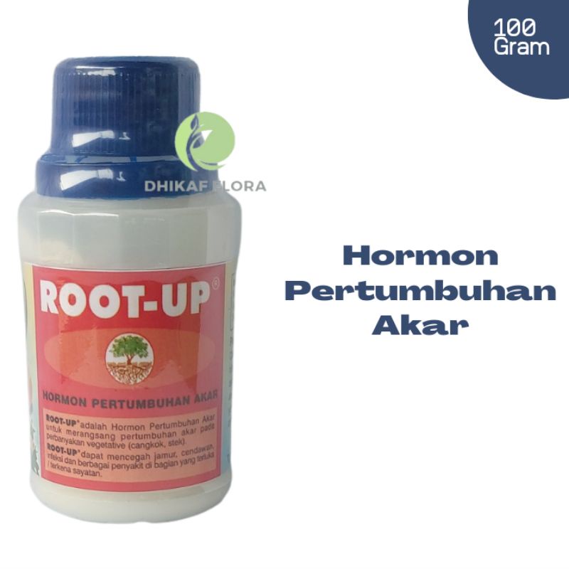 Hormon Pertumbuhan Akar Root Up 100 Gram