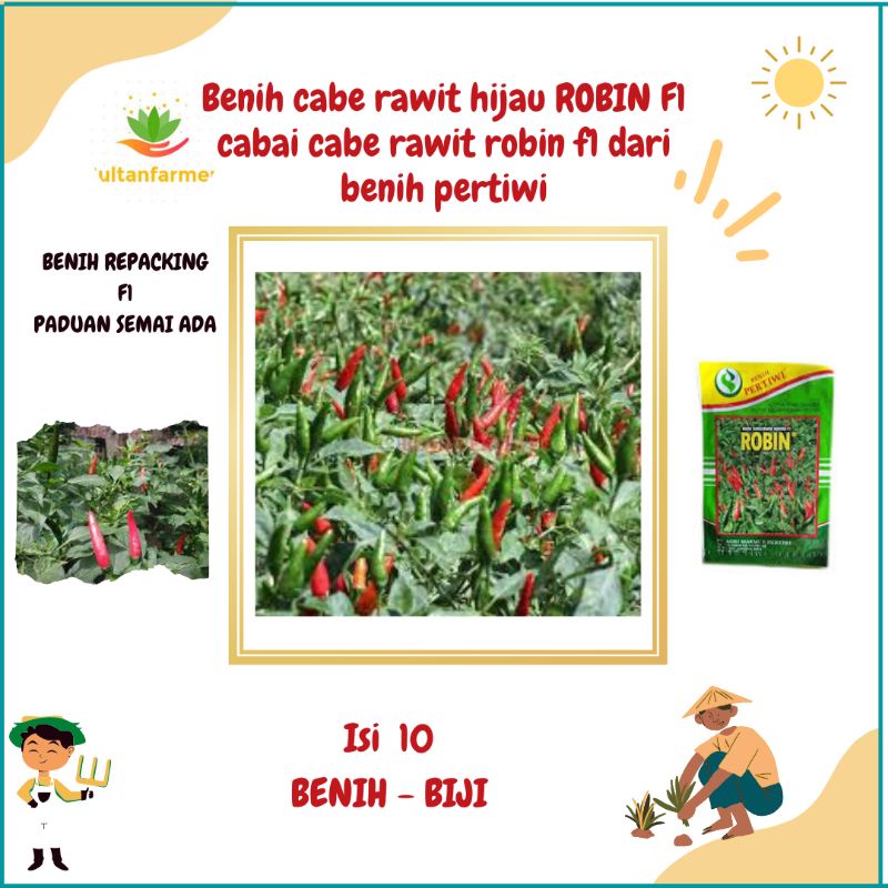 10 Biji - Benih cabe rawit hijau ROBIN F1 benih PERTIWI repacking