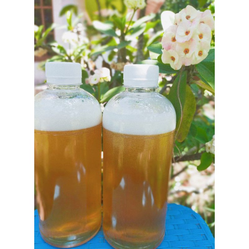

Madu murni asli 500 ml