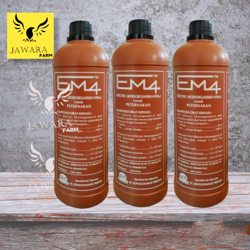 EM4 Peternakan ayam bebek