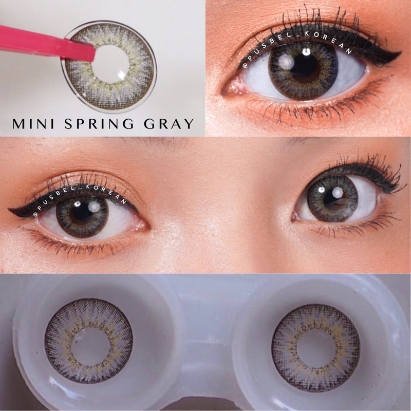 softlens mini spring gray pusbel  korean original korea