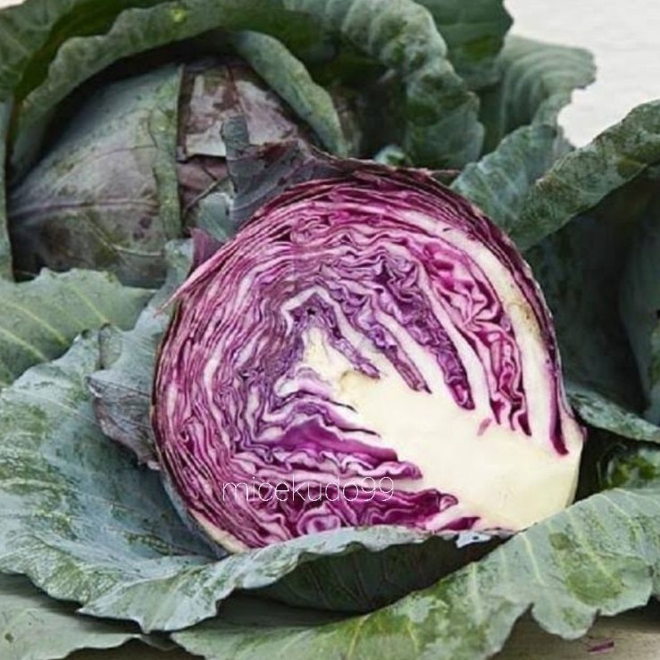 

KOL UNGU SEGAR 1 KG / KUBIS UNGU / MERAH RED PURPLE CABBAGE FRESH