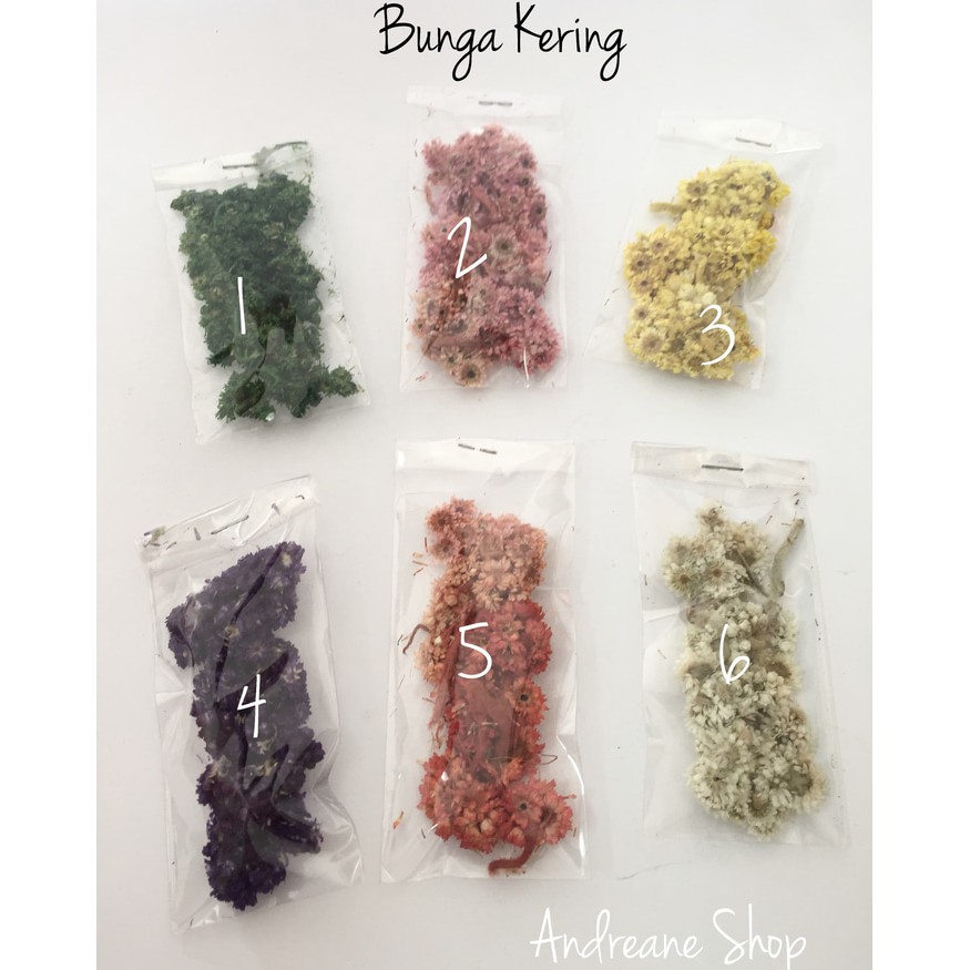Ready Stok Bunga kering aneka warna untuk  bahan craft 