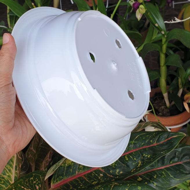 SHOPEE MALL Pot bunga BONSAI 25 PUTIH HITAM Pot ceper Pot Bonsai Pot murah Pot plastik
