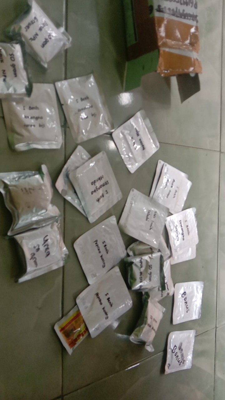 5 Biji Benih Paprika Merah