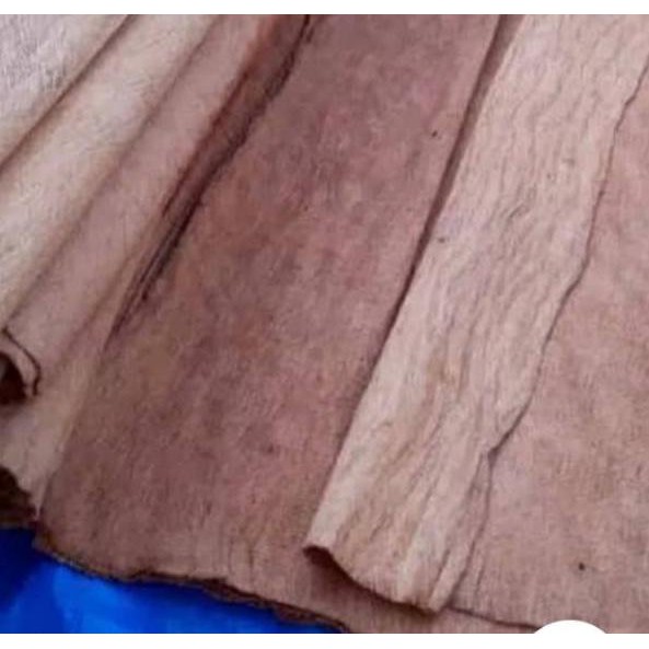 Barang Pilihan.. Kulit kayu kulit kayu lantung