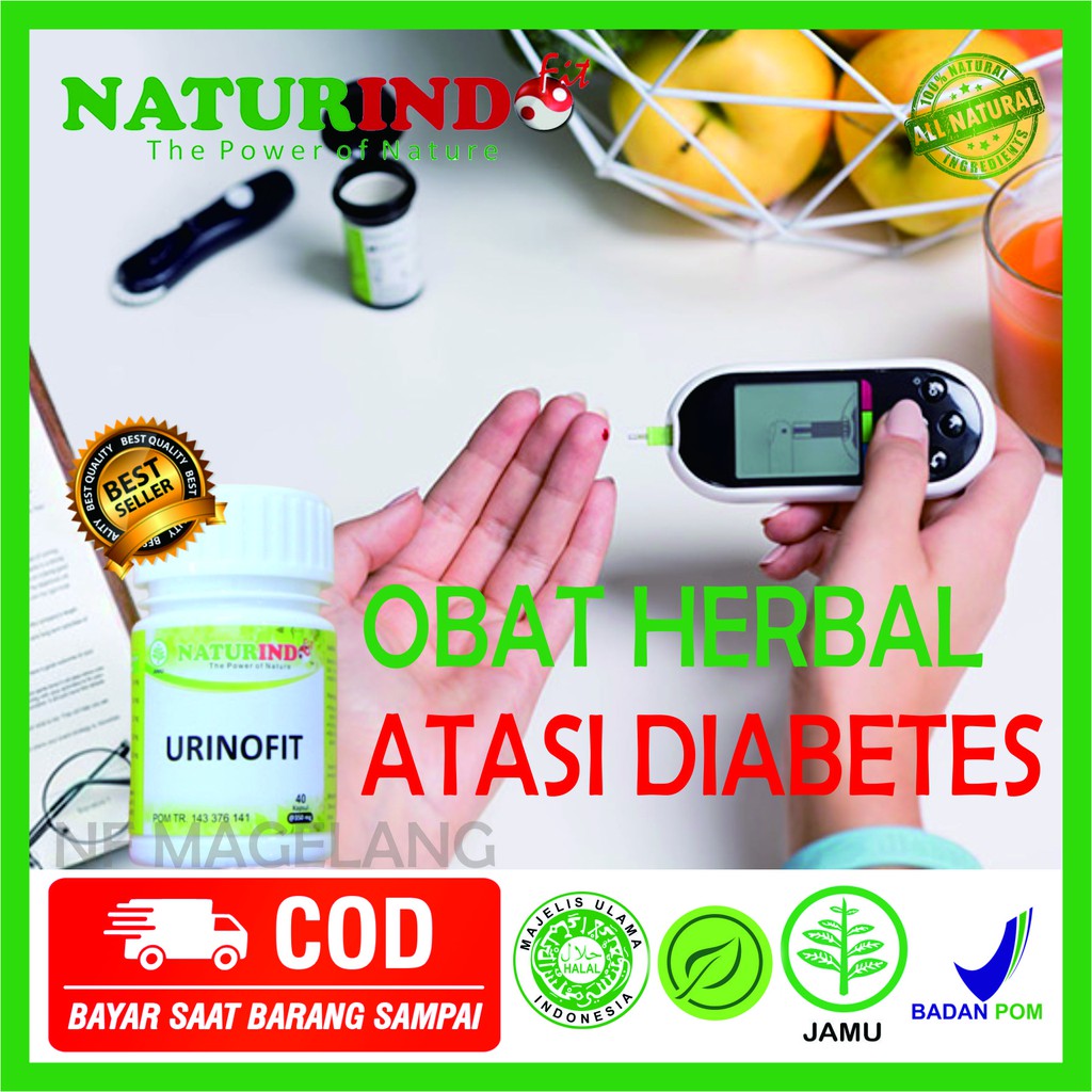 

HERBAL gula kering diabetes kerusakan sel pankreas kencing manis sakit gula gula darah kering