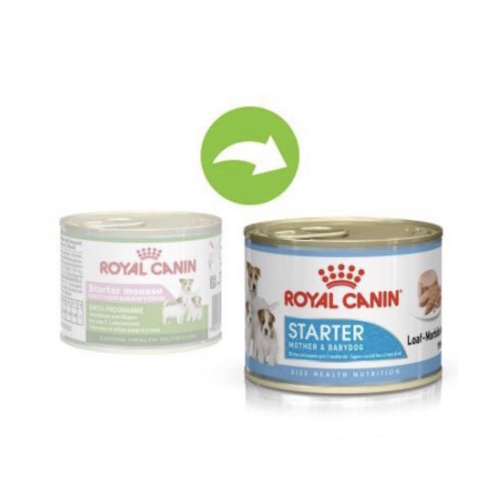 Royal canin Starter mousse Mother & baby dog