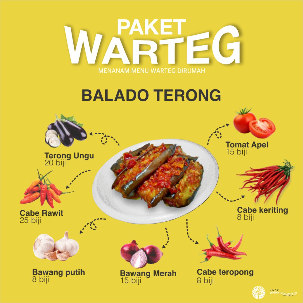 PAKET WARTEG - Benih untuk Balado Terong - Menanam Benih Menu Warteg di Rumah by Anak Pohon