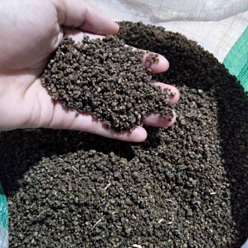 

Oyek tiwul hitam isi 1kg pengganti nasi Karak tiwul makanan jadul tradisional