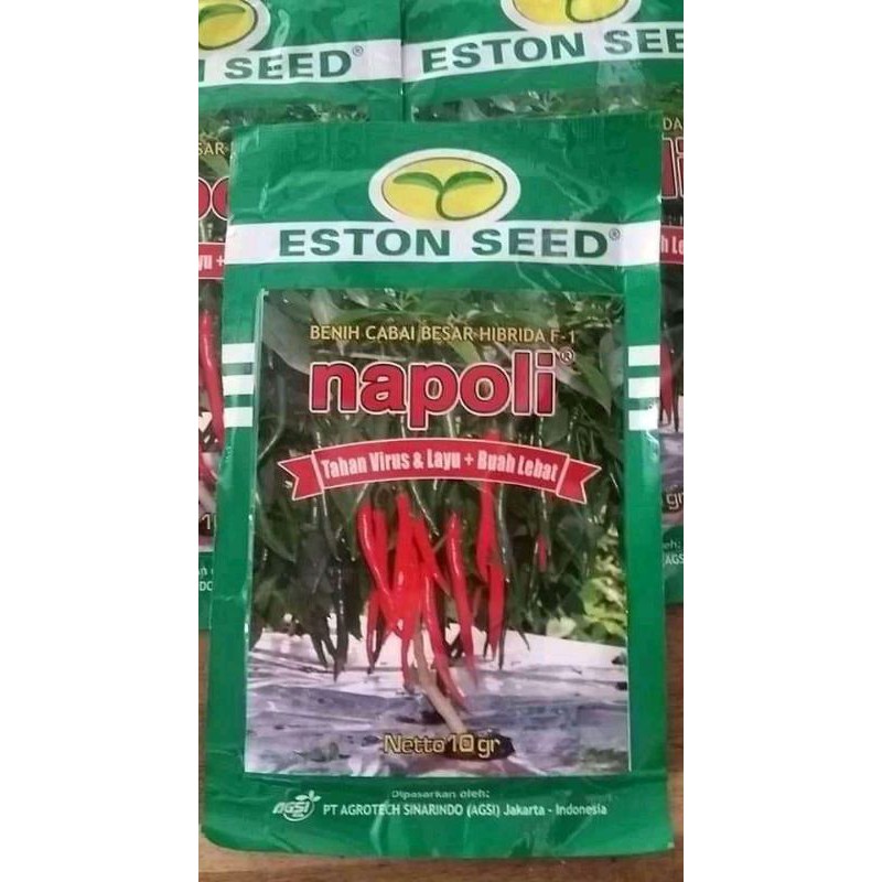 Benih cabe besar Napoli F1 10grm